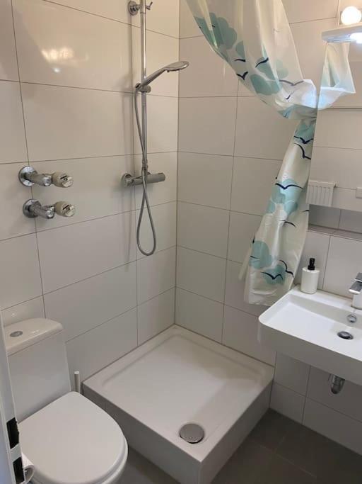 Schoene, Kleine, Gemuetliche Wohnung - Stadtmitte Mainz Kültér fotó
