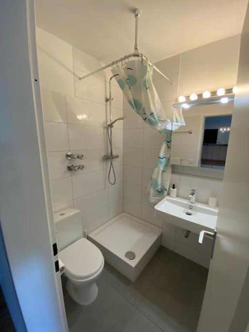 Schoene, Kleine, Gemuetliche Wohnung - Stadtmitte Mainz Kültér fotó